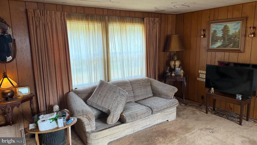 537 DANDELION ROAD