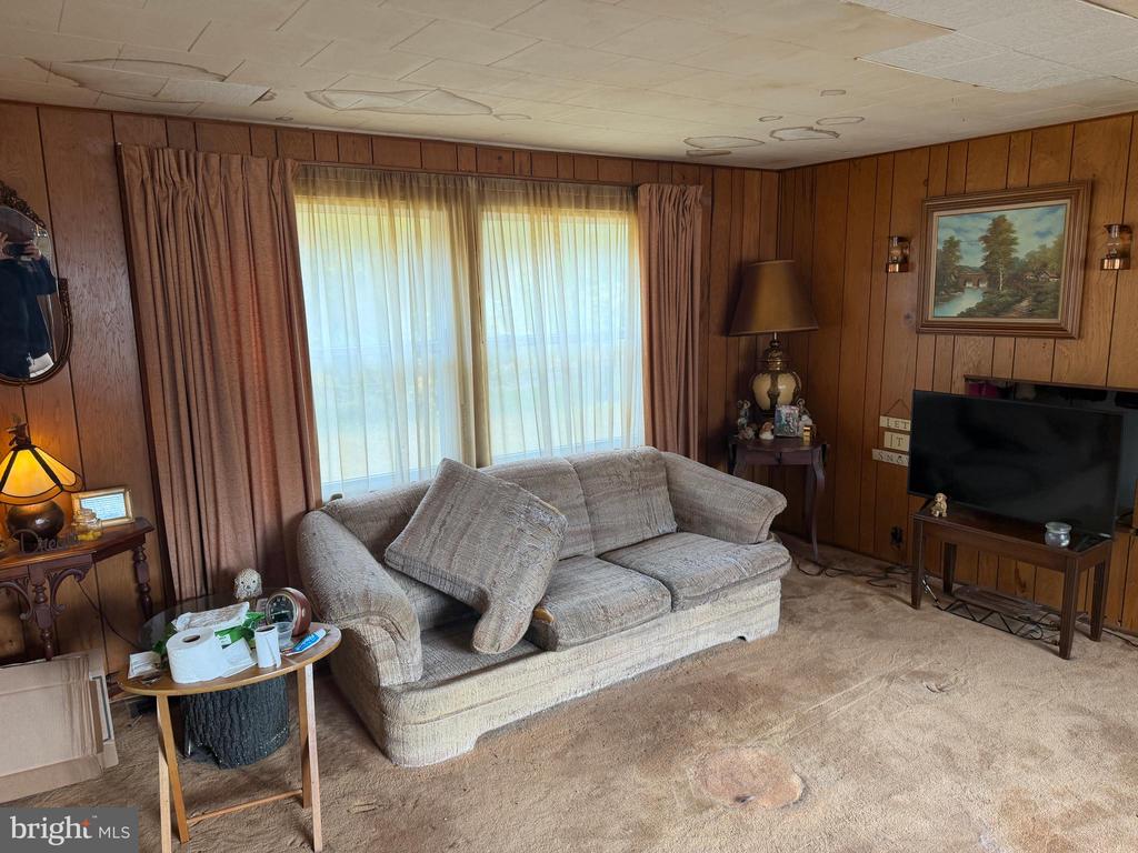 537 DANDELION ROAD