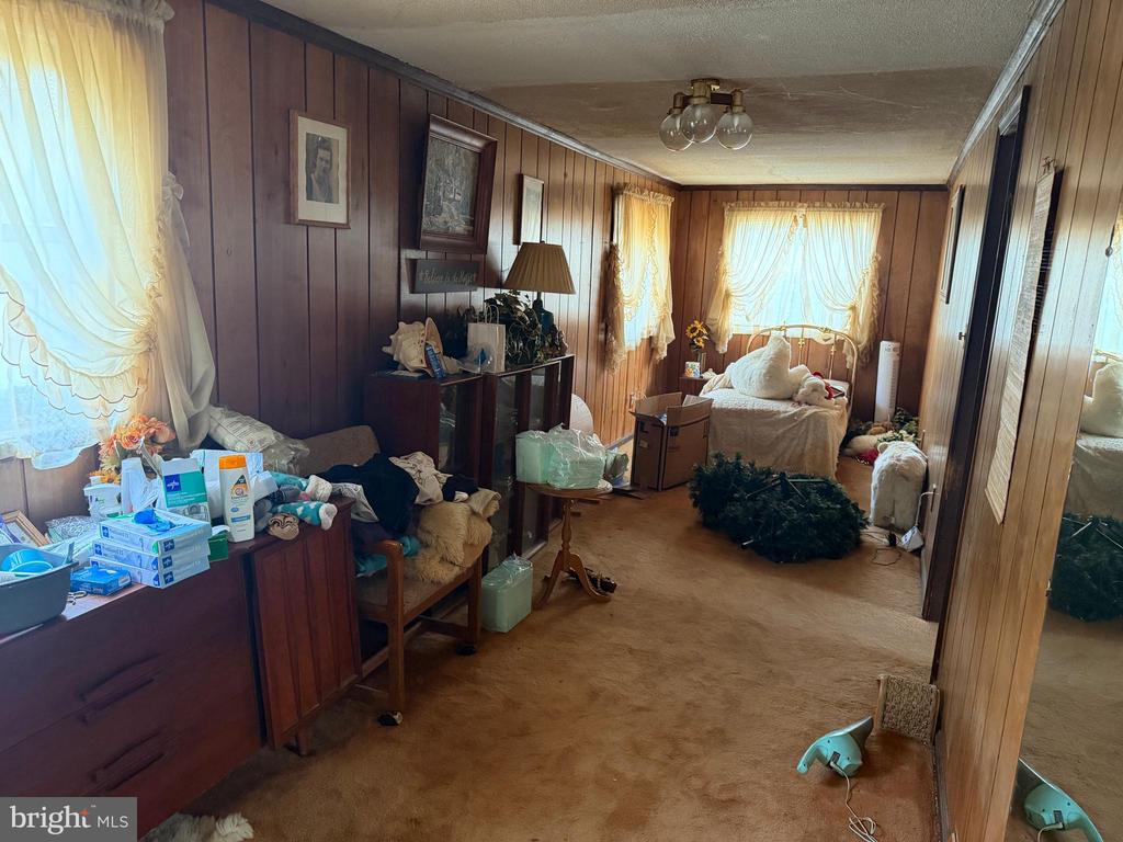 537 DANDELION ROAD