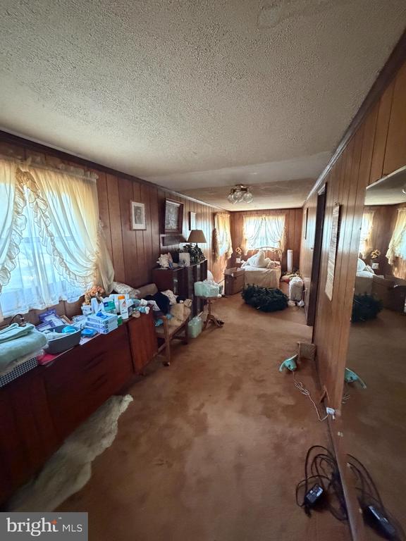 537 DANDELION ROAD