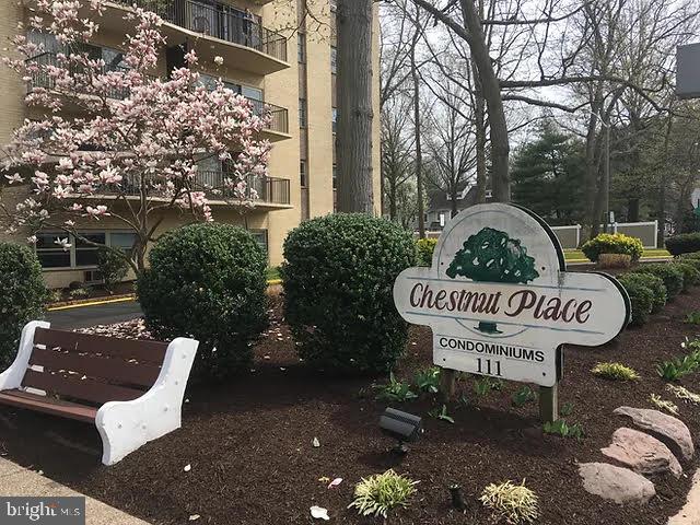 111 CHESTNUT STREET 310