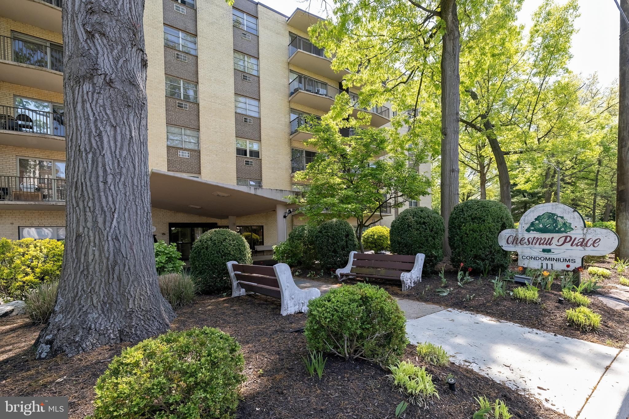 305 CHESTNUT PLACE 305