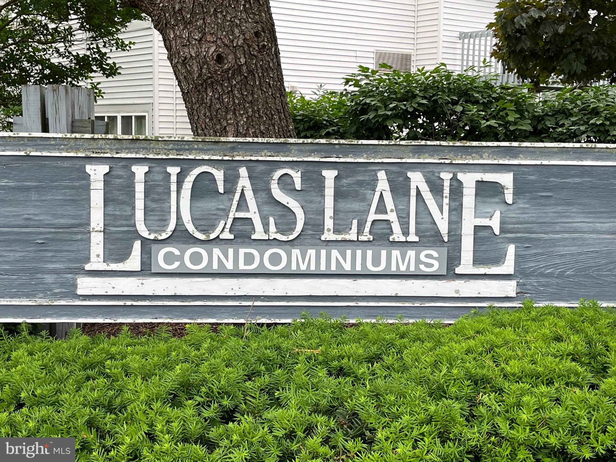 2007 Lucas Ln
