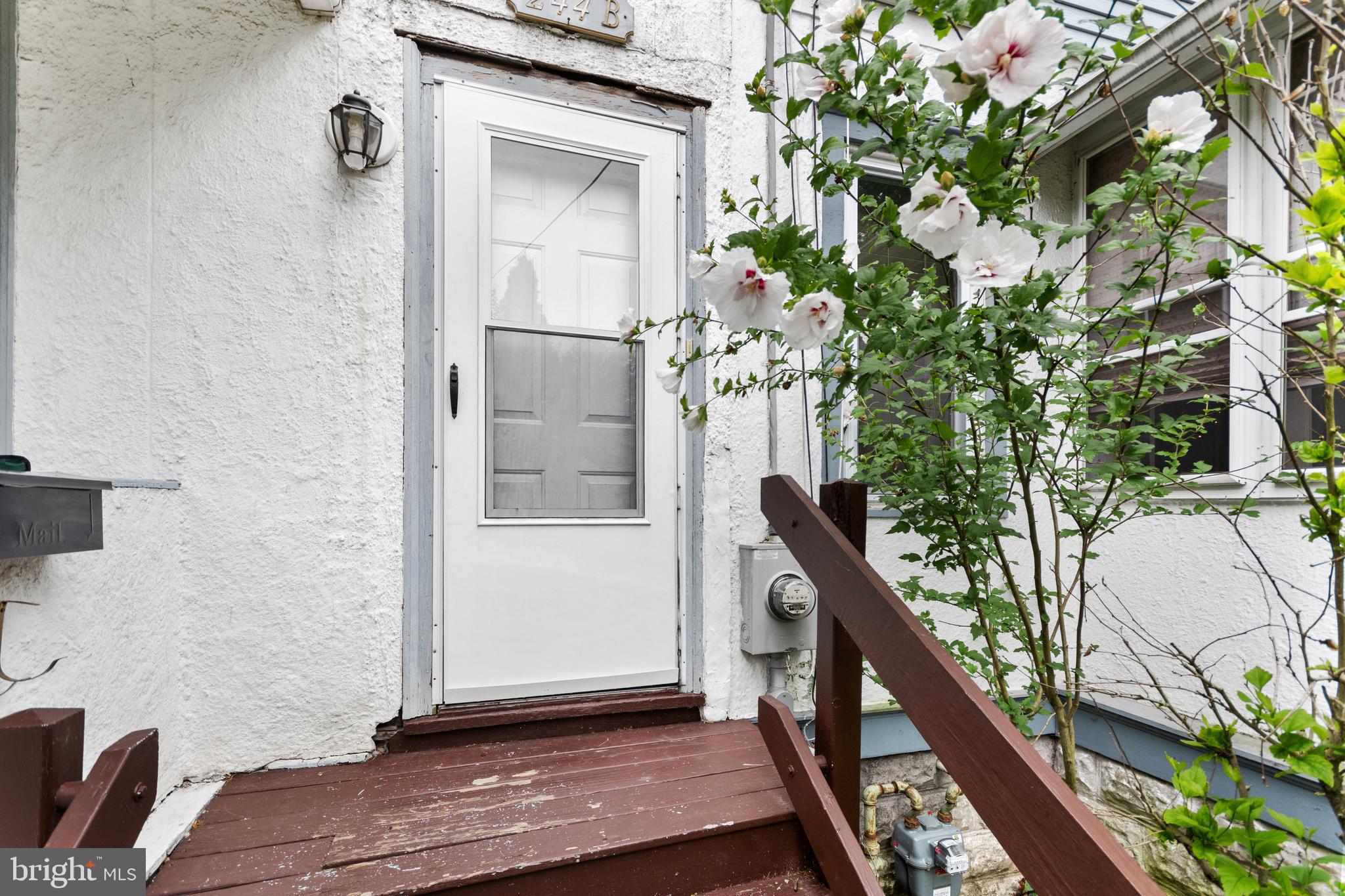 244 MANSION AVENUE