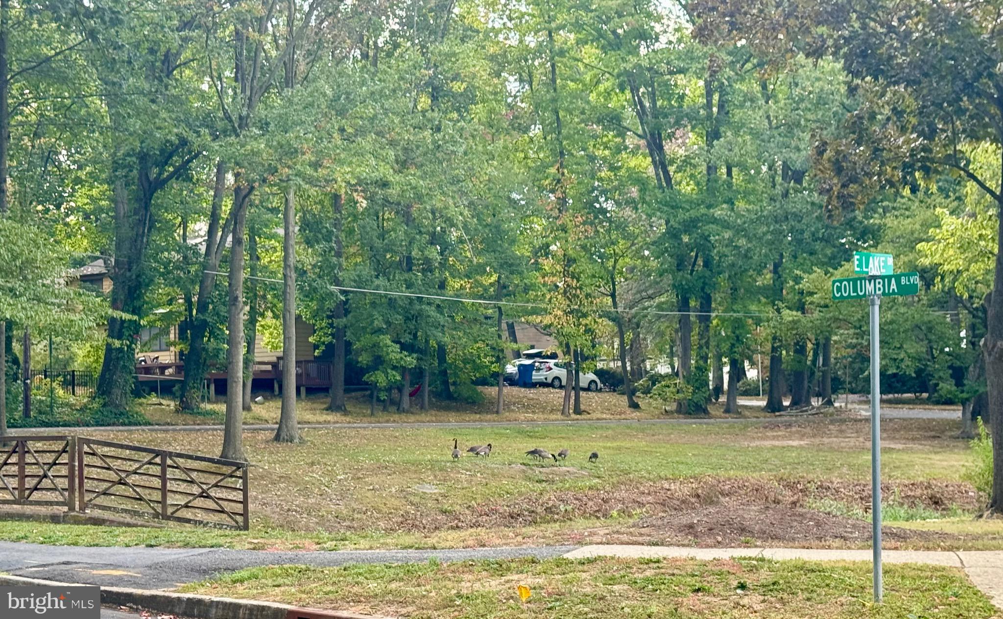 311 COLUMBIA BOULEVARD