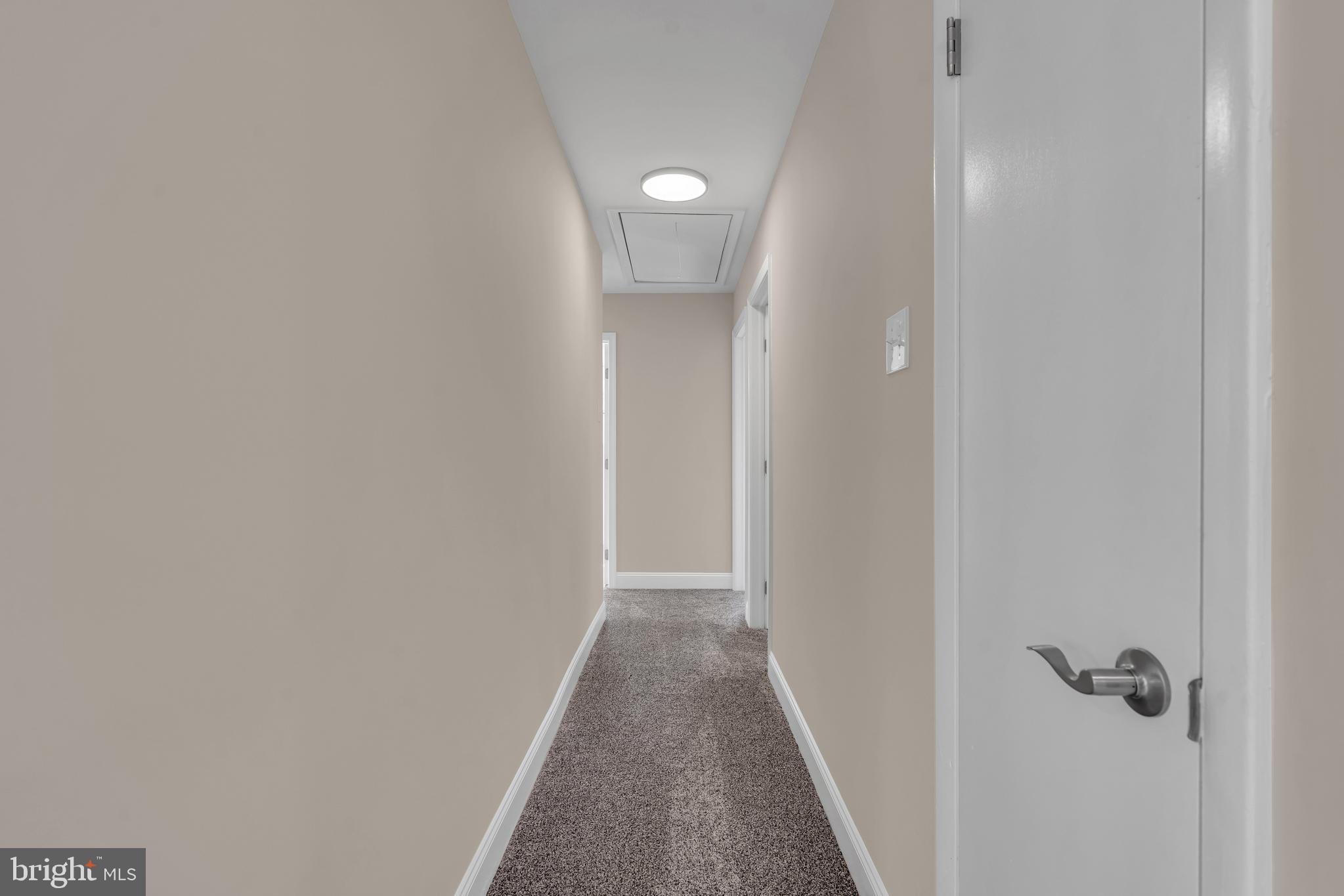 509 EVERGREEN AVENUE