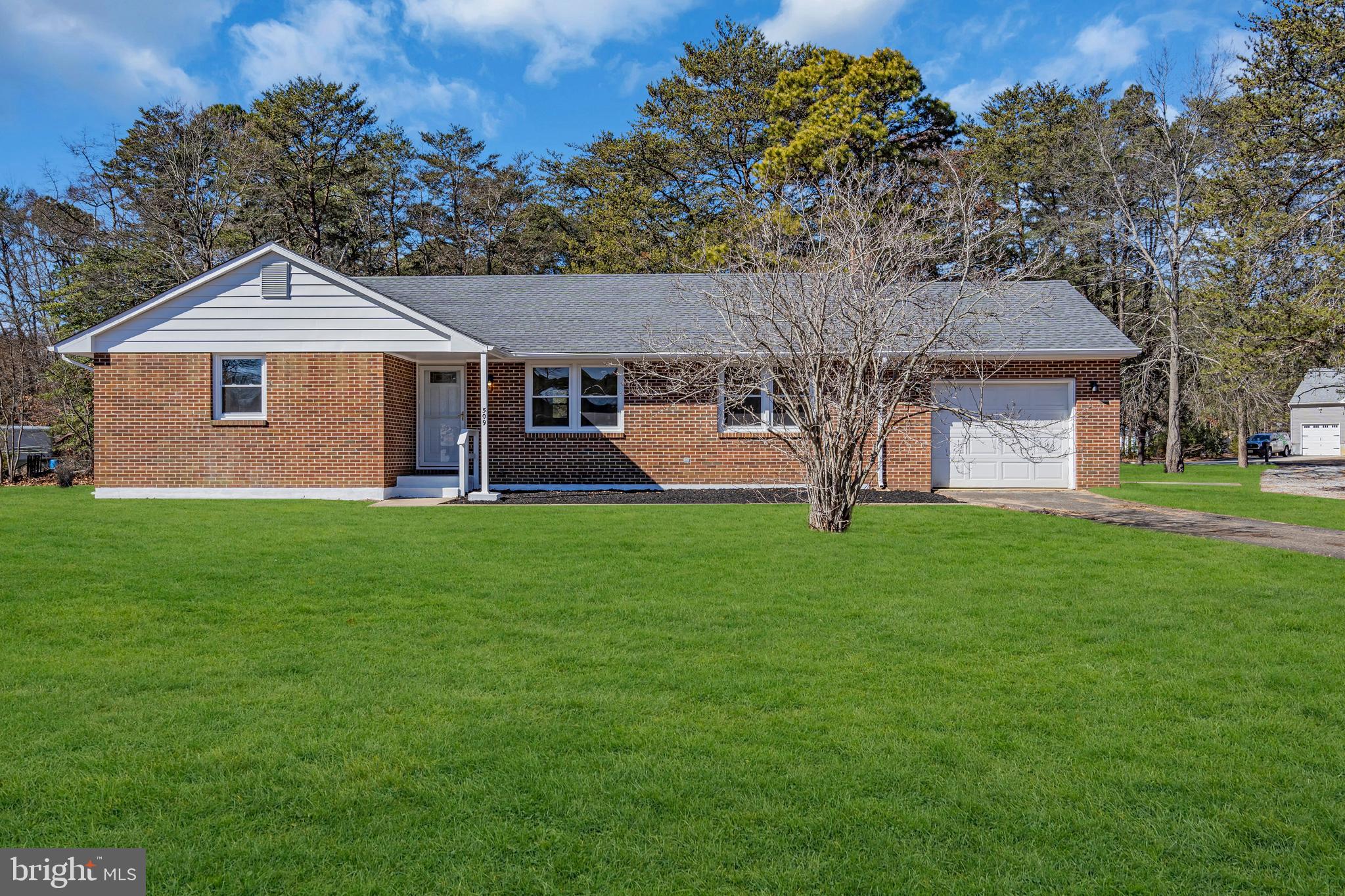 509 EVERGREEN AVENUE