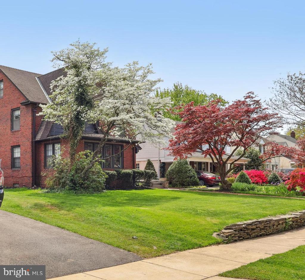 40 Treaty Elm Ln