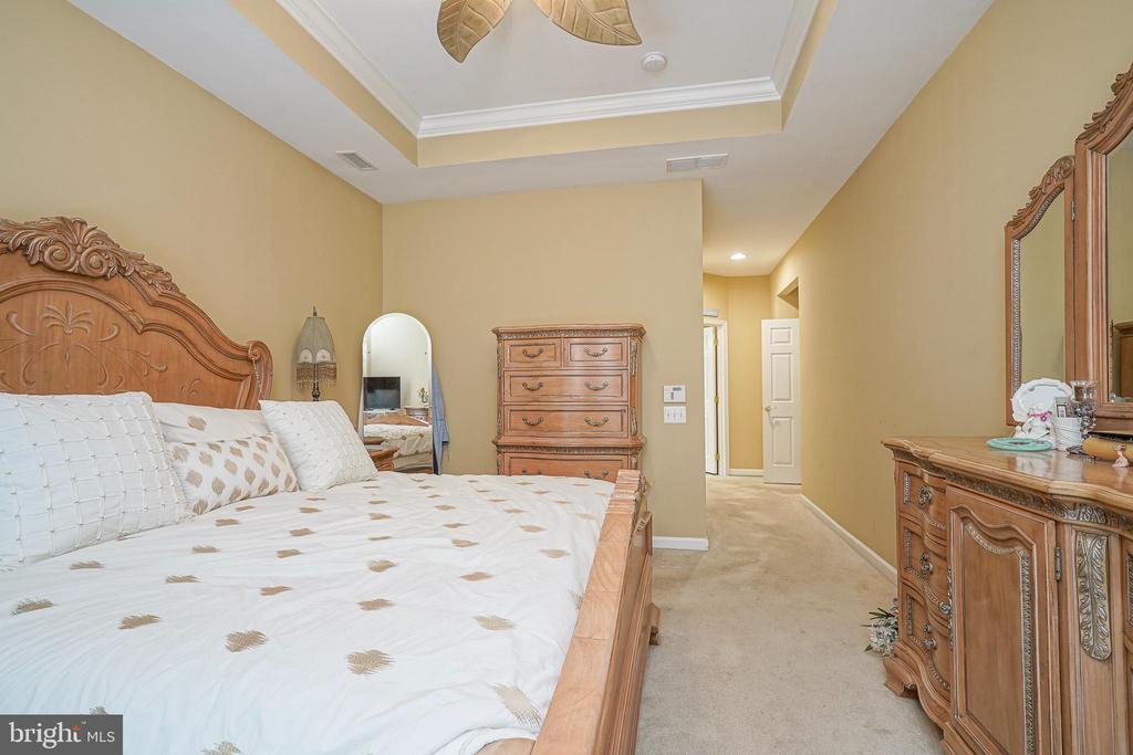 11 SPRINGFIELD AVENUE