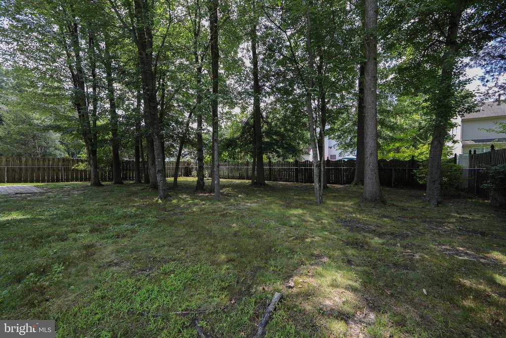 28 COUNTRY LANE