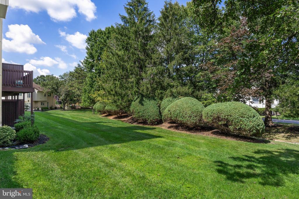 1601 CHANTICLEER