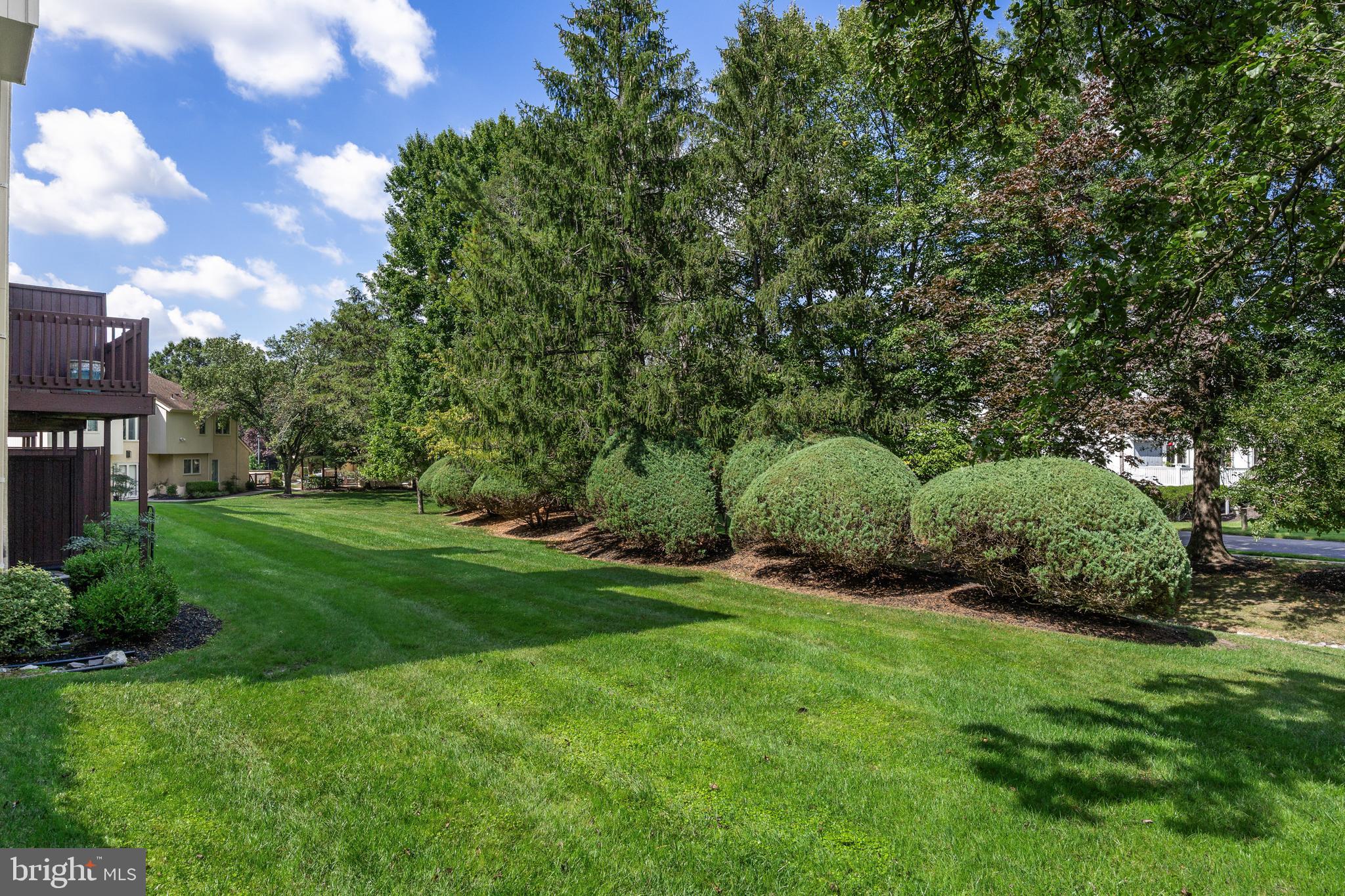 1601 CHANTICLEER