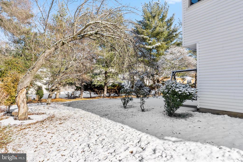 1525 SQUIRE LANE