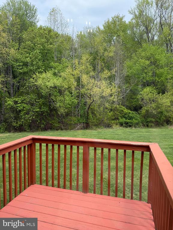 114 CELESTINO COURT