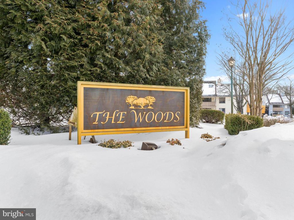 706 THE WOODS