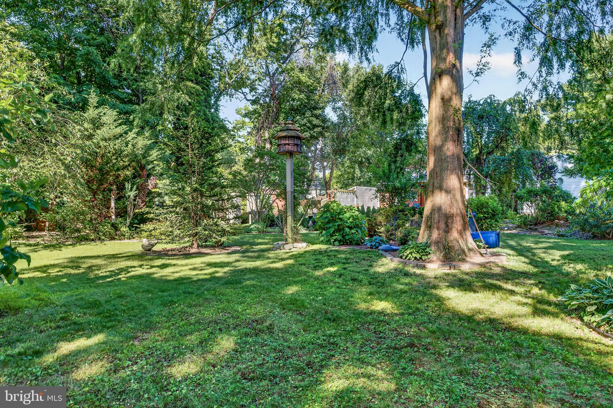 311 OAK AVENUE
