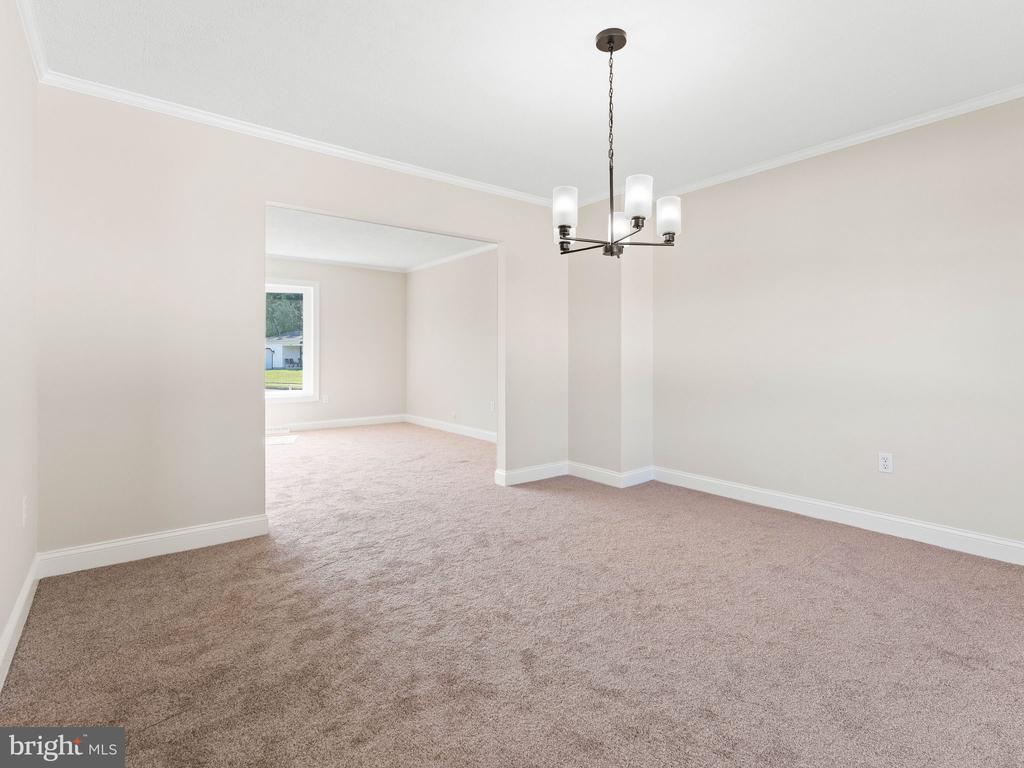 65 LINCOLN DRIVE