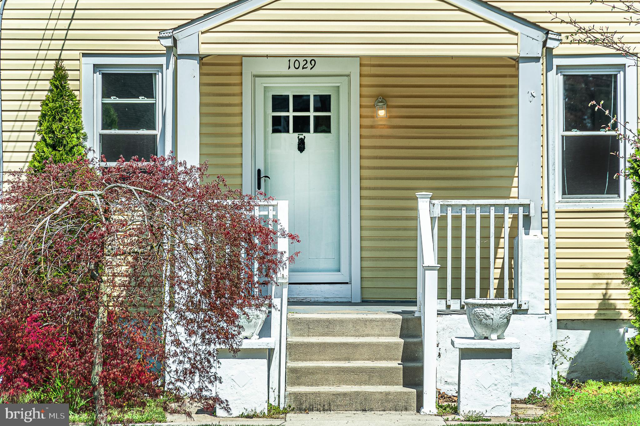 1029 CHESTNUT AVENUE