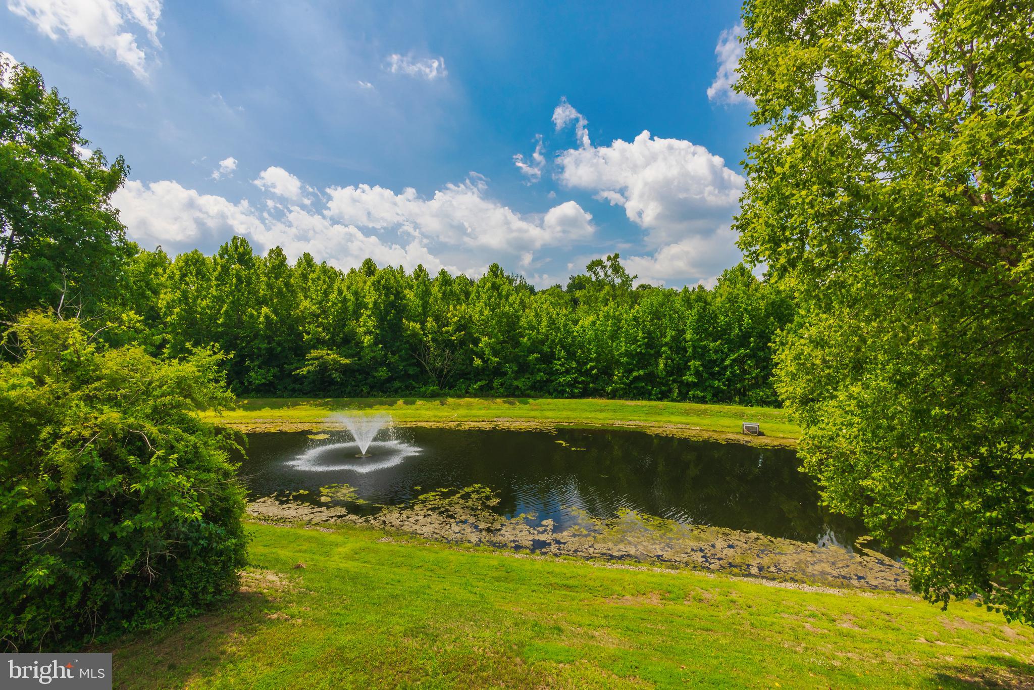 175 WESTBROOK DRIVE