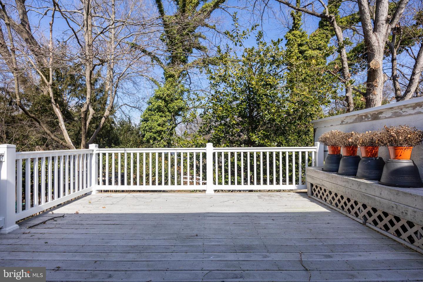 216 Meadow Ln