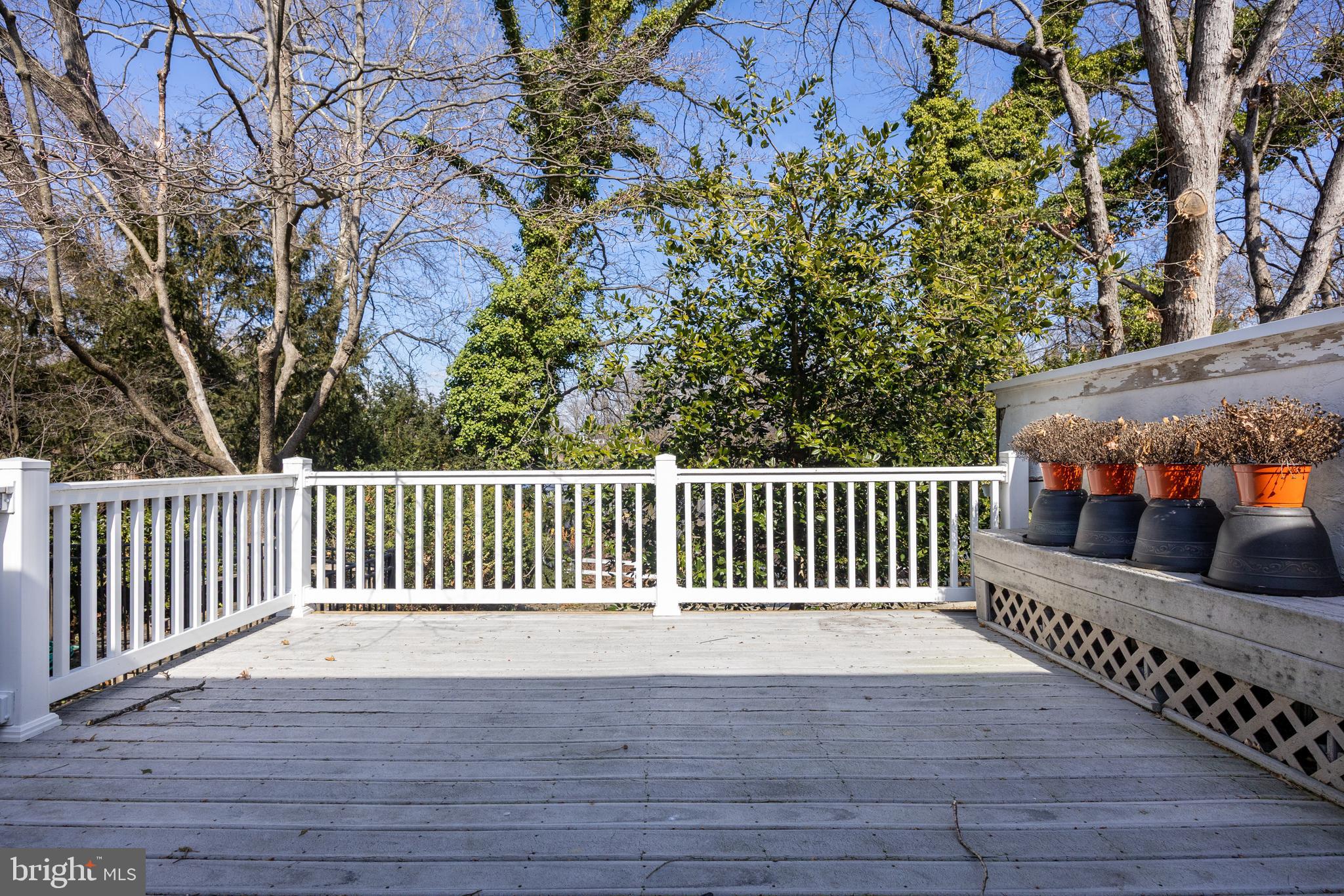 216 Meadow Ln
