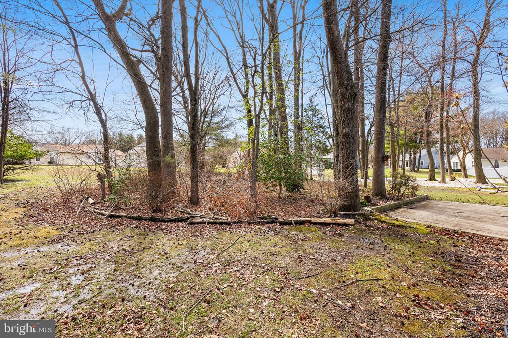 19 Kelly Dr