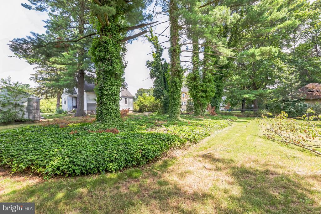 216 DICKINSON ROAD