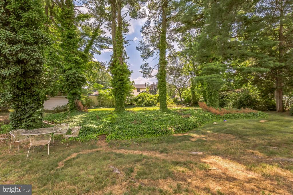 216 DICKINSON ROAD