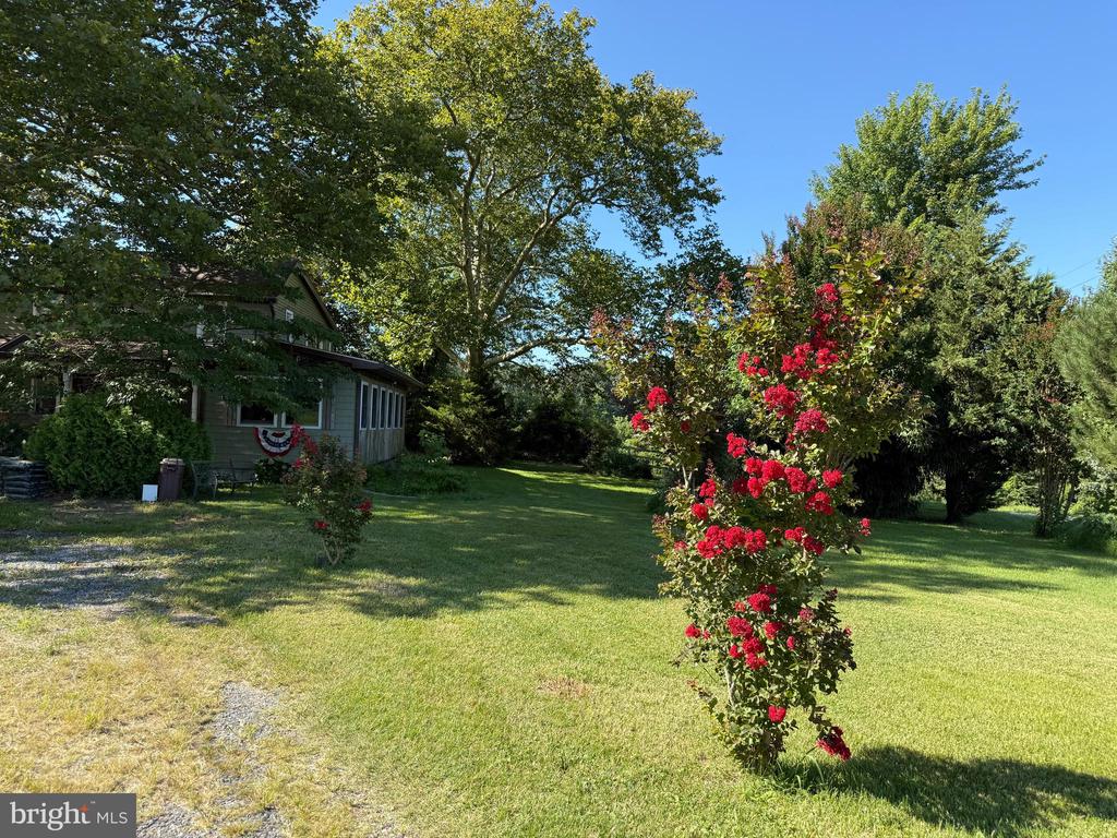 137 DAVIDSON ROAD