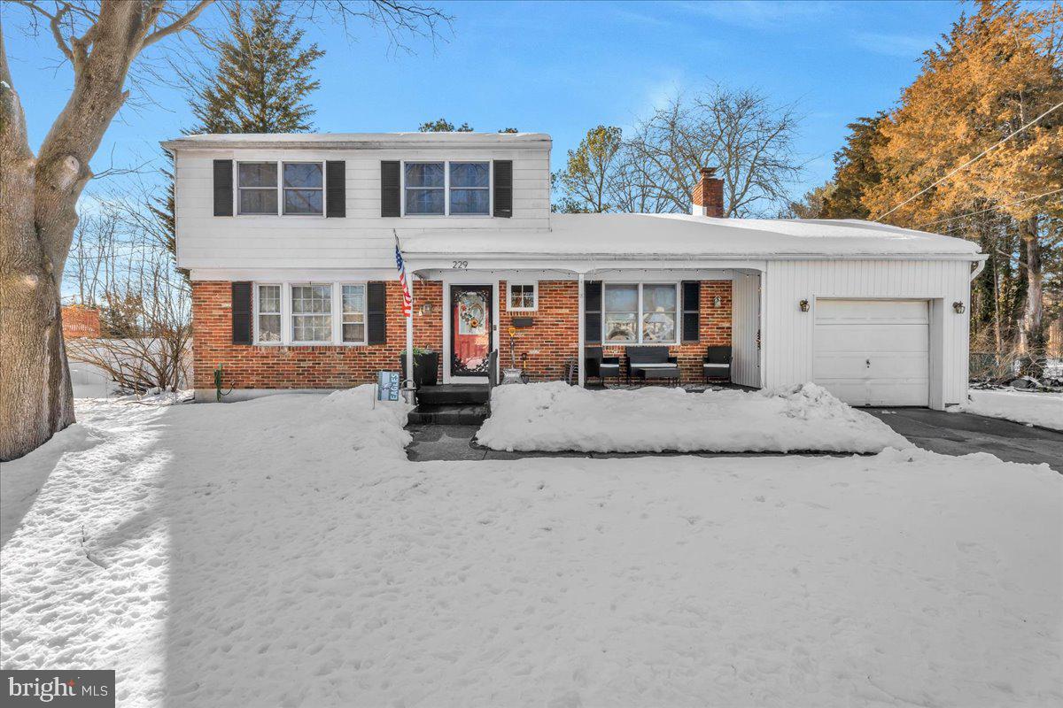 229 IRELAND TERRACE
