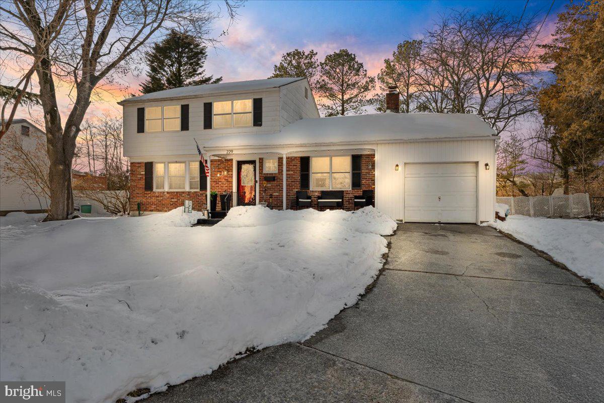 229 IRELAND TERRACE