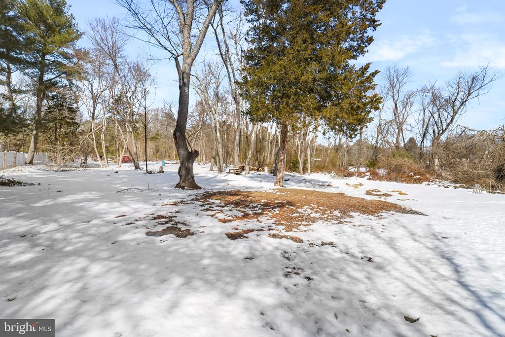 1241 CLAYTON ROAD