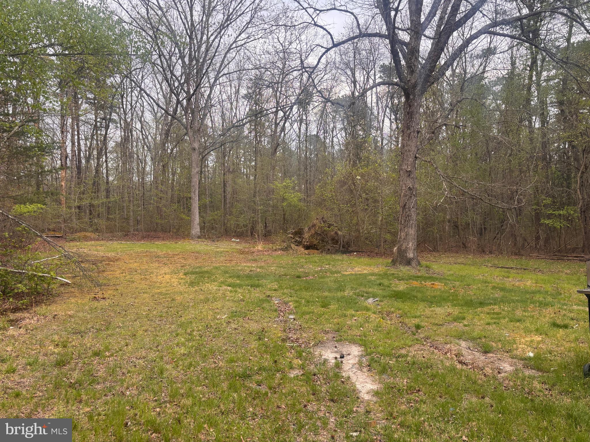 308 WHITEHALL ROAD B