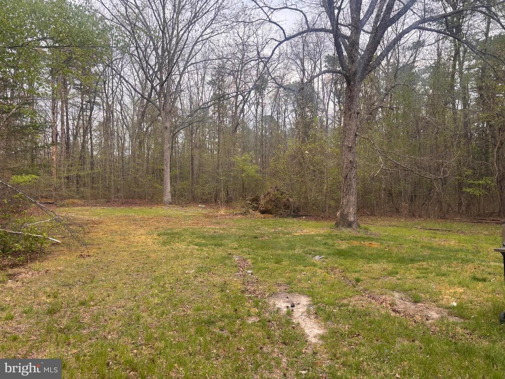 308 WHITEHALL ROAD B