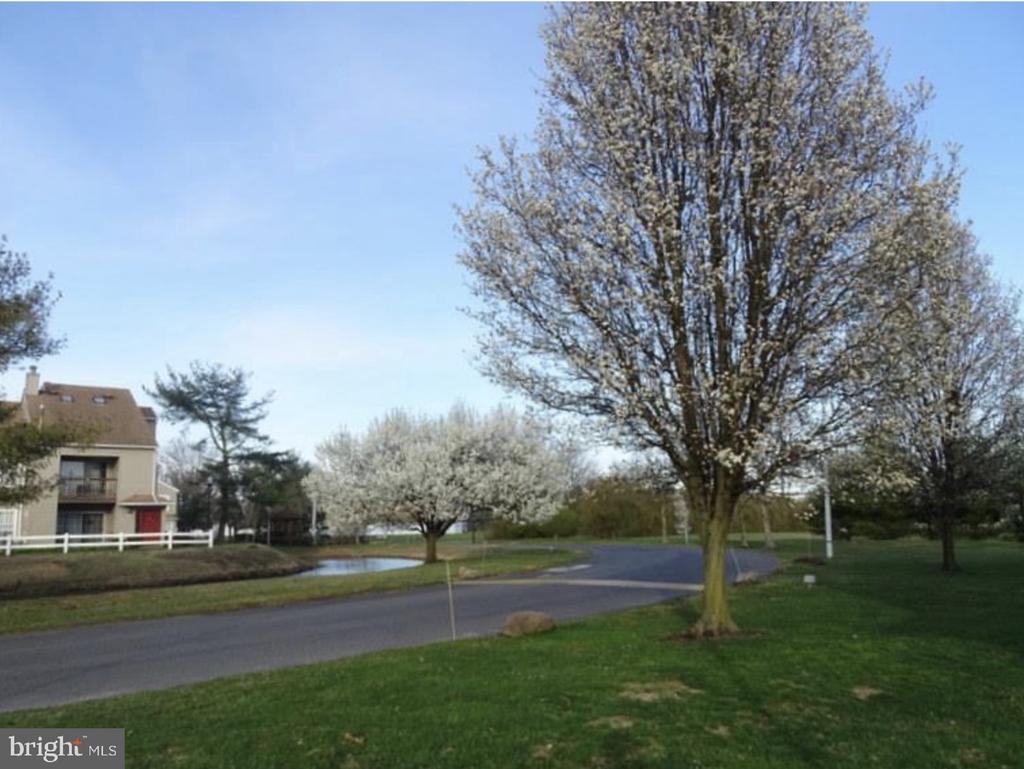 2607 THISTLEDOWN CT