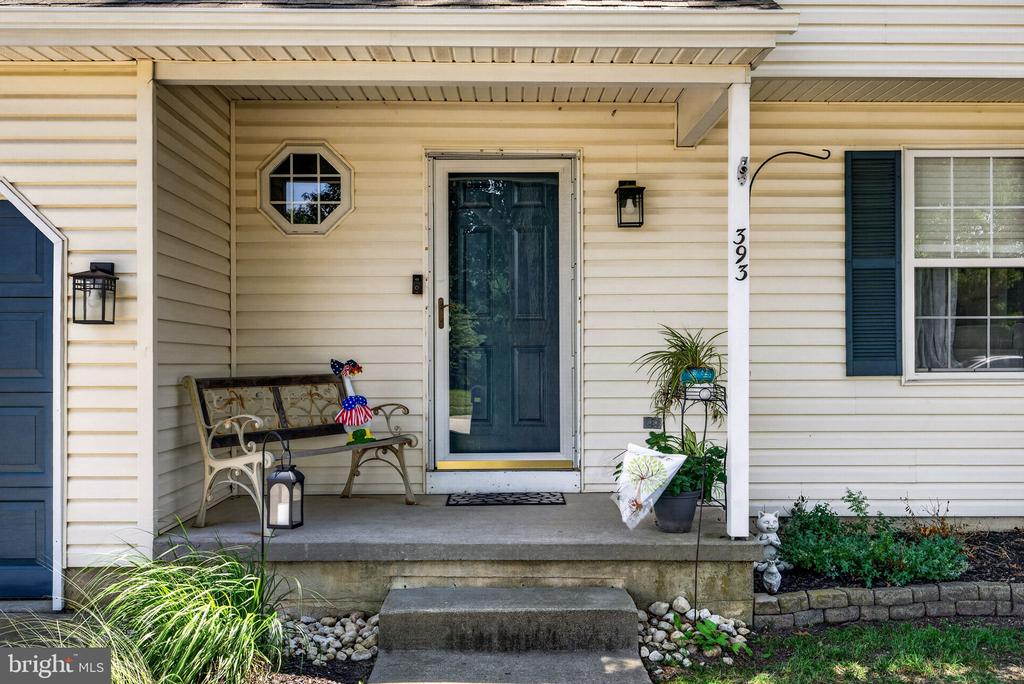 393 BRYN MAWR DRIVE