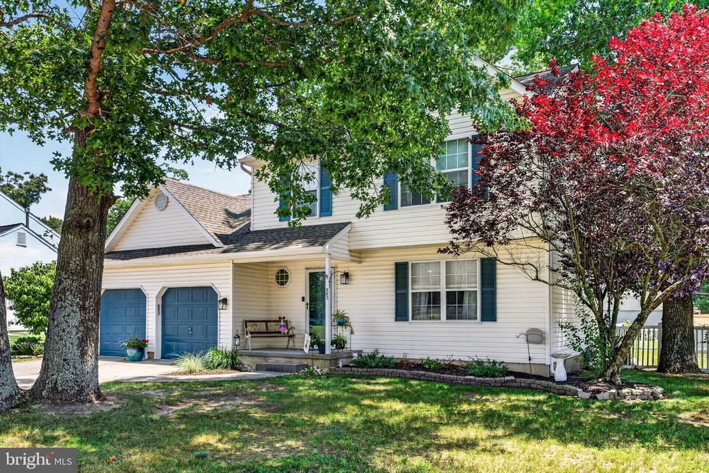 393 BRYN MAWR DRIVE