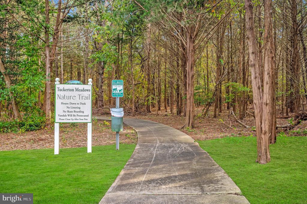 424 IBIS COURT