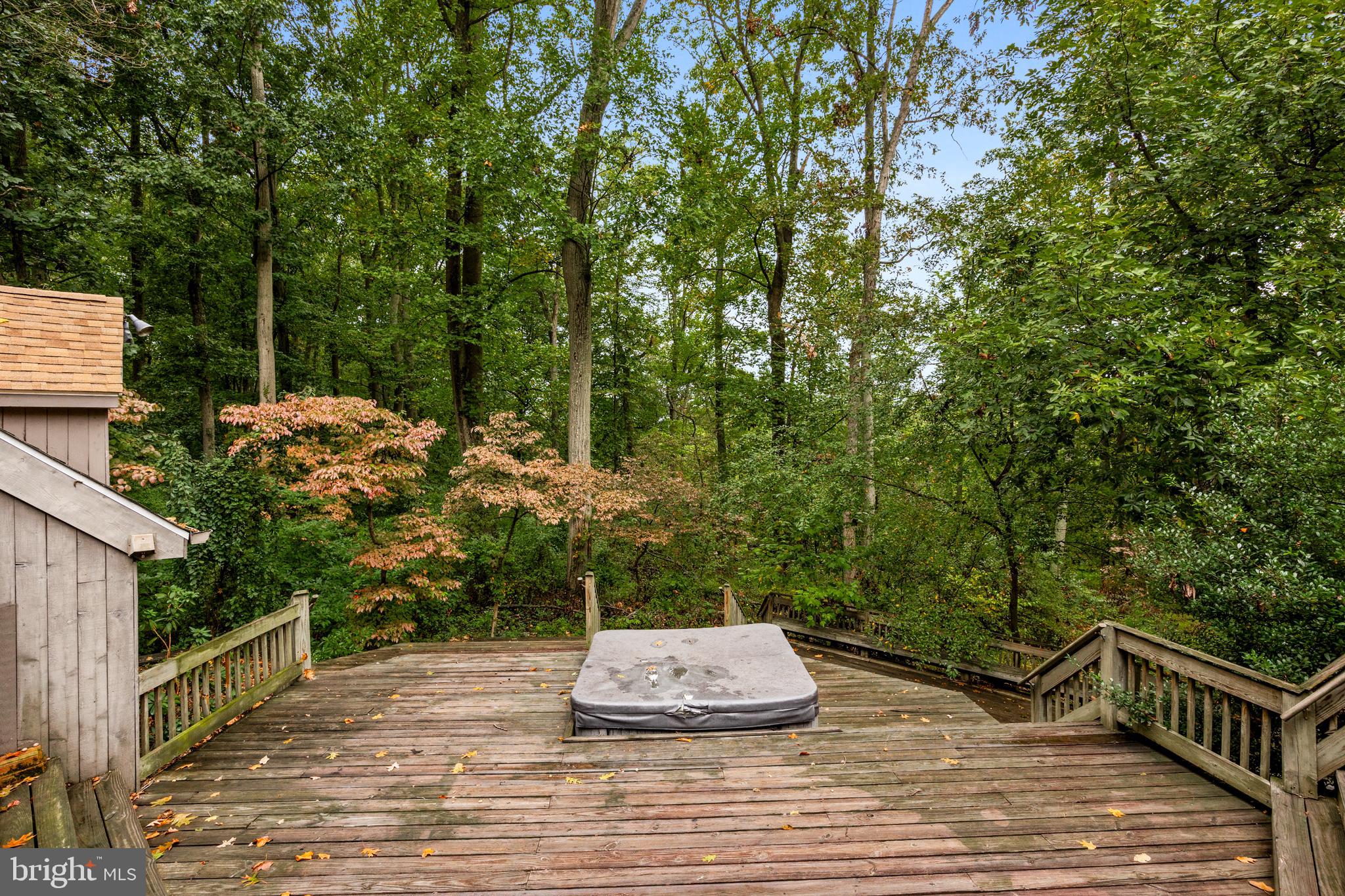 42 Birch Ln