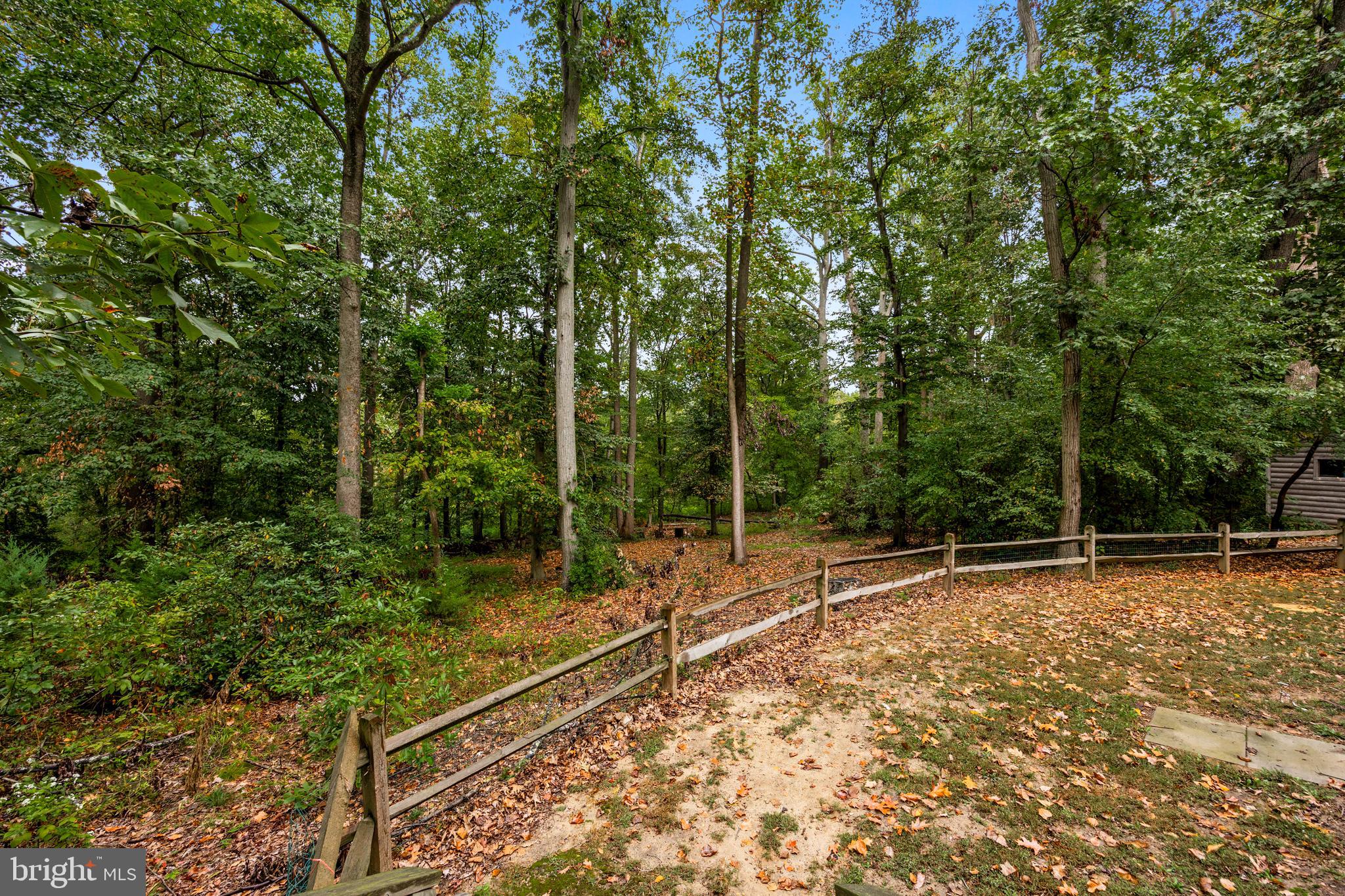 42 Birch Ln