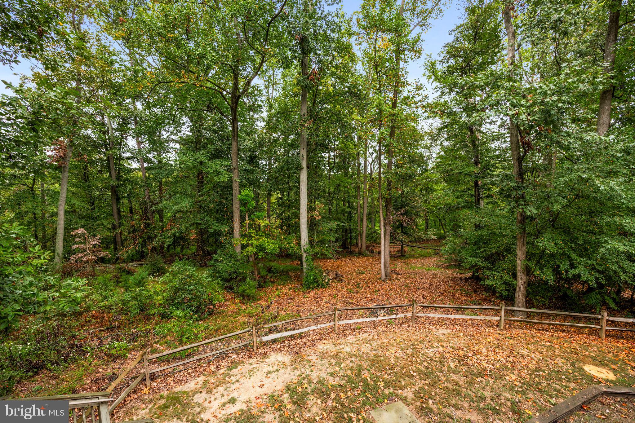 42 Birch Ln
