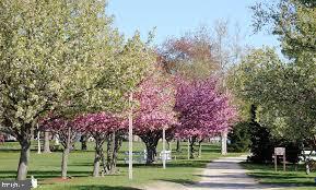 83 CASTLE HEIGHTS AVENUE