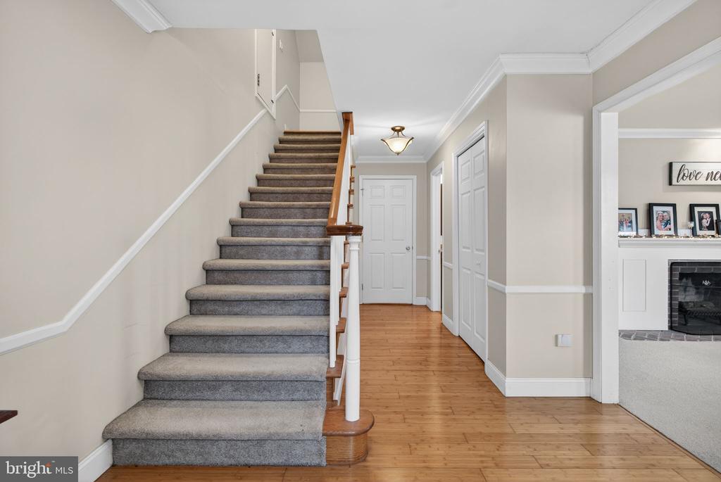 46 MAPLEWOOD AVENUE