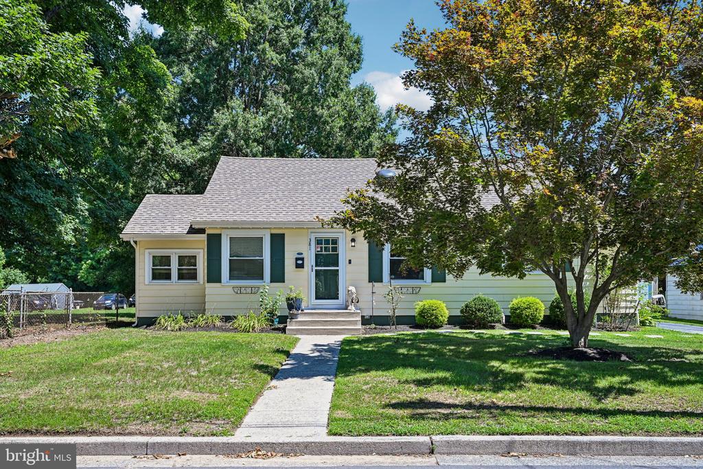 381 IVES