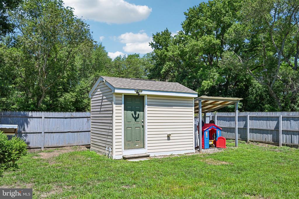381 IVES