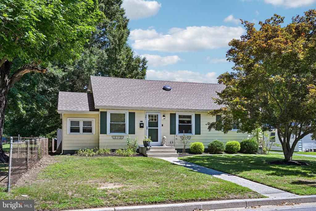 381 IVES