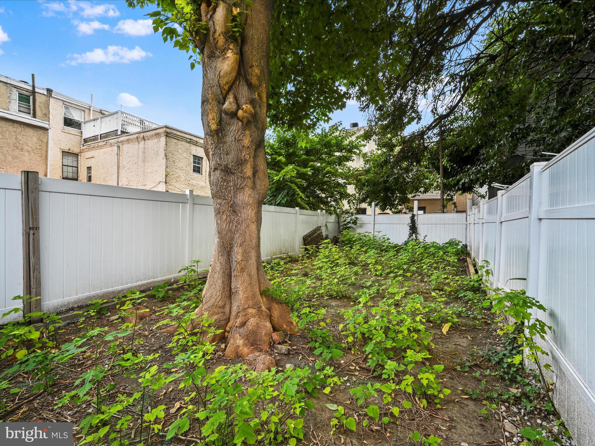 1204 MONTROSE STREET