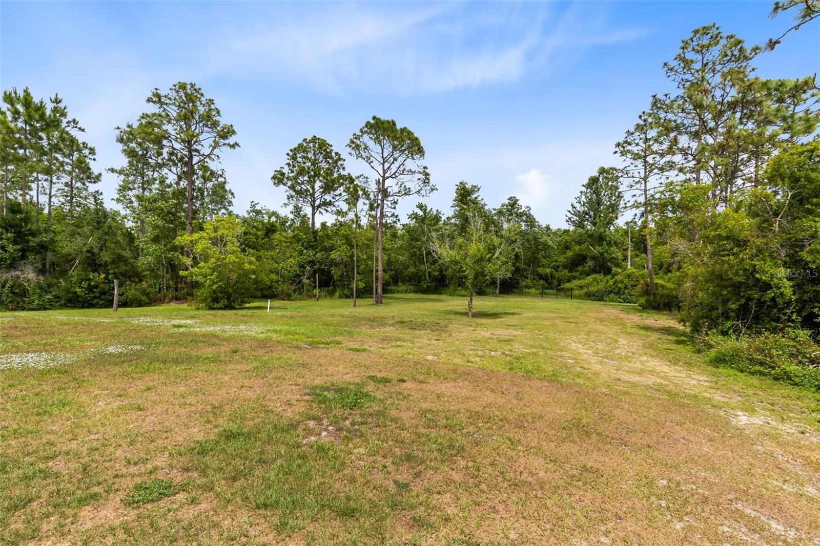 2245 BRONCO DR.
