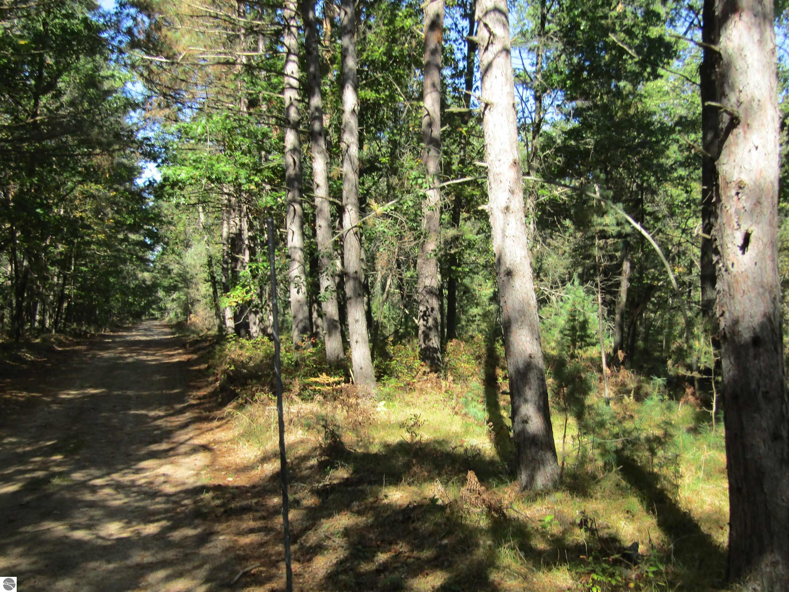 00_VL Towerline Trail