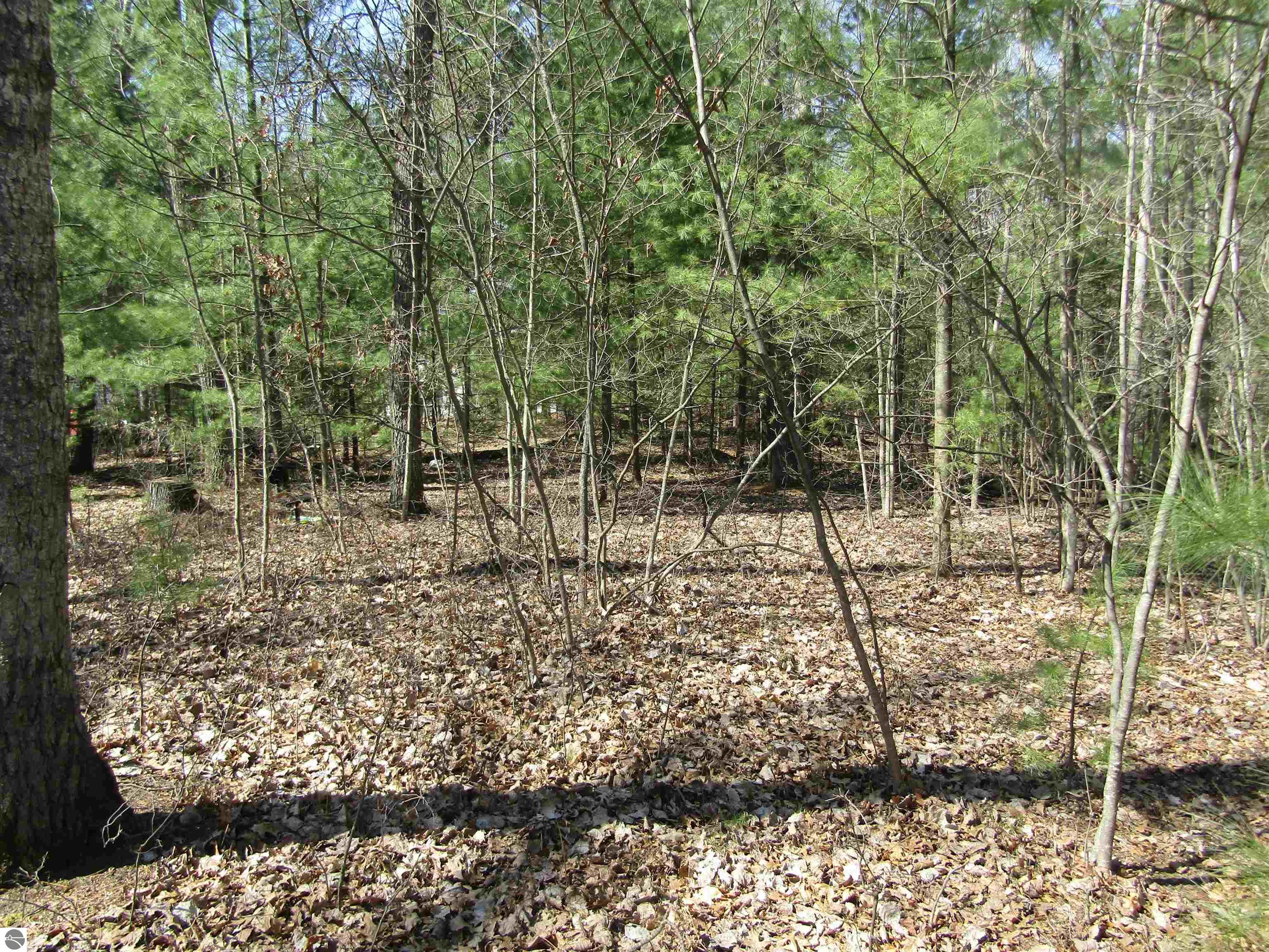 00_VL Onondaga Trail